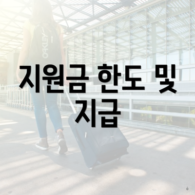지원금 한도 및 지급