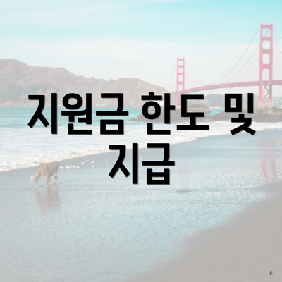 지원금 한도 및 지급