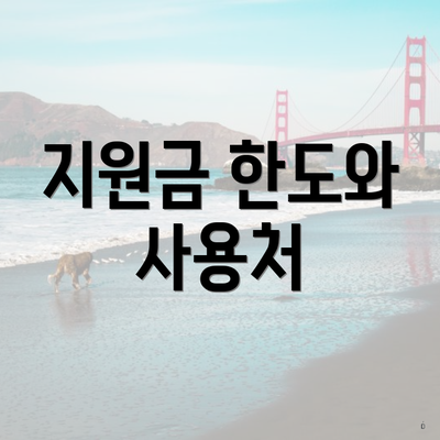 지원금 한도와 사용처