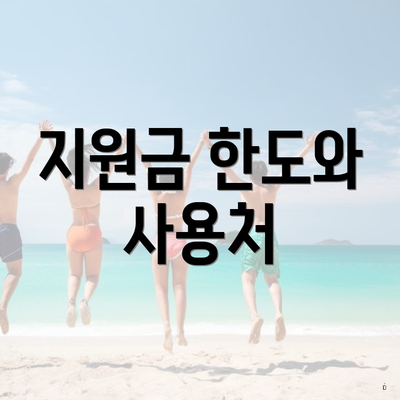 지원금 한도와 사용처