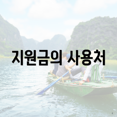 지원금의 사용처