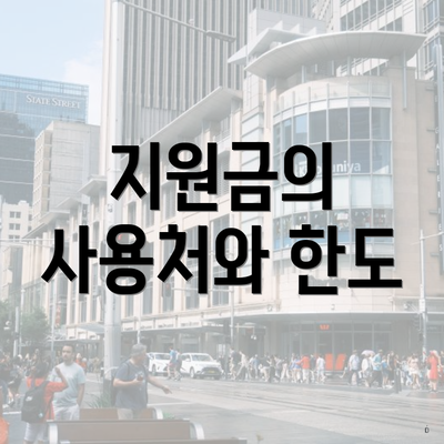 지원금의 사용처와 한도