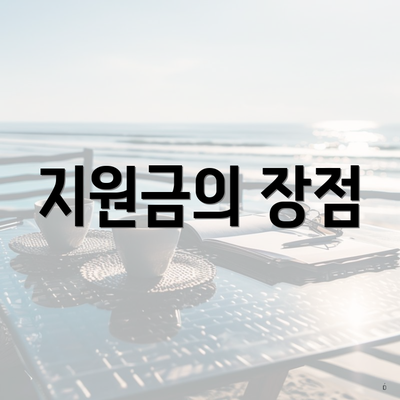 지원금의 장점
