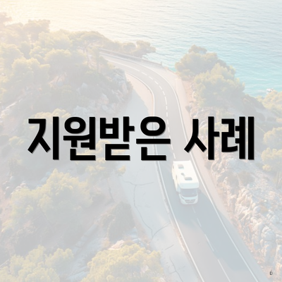 지원받은 사례