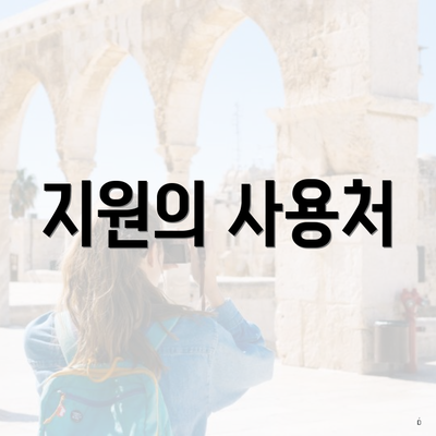 지원의 사용처