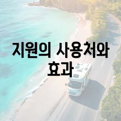 지원의 사용처와 효과