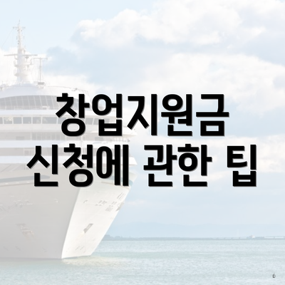 창업지원금 신청에 관한 팁