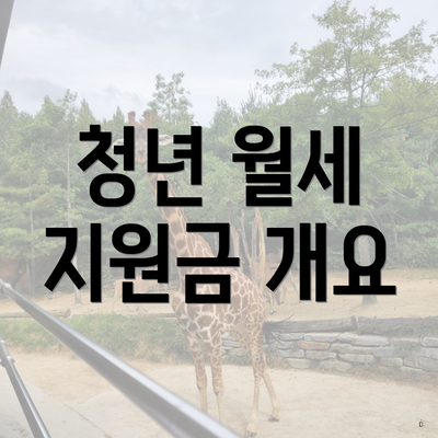 청년 월세 지원금 개요