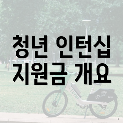 청년 인턴십 지원금 개요