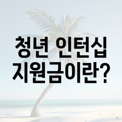 청년 인턴십 지원금이란?