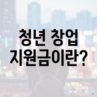 청년 창업 지원금이란?