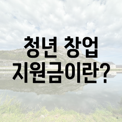 청년 창업 지원금이란?