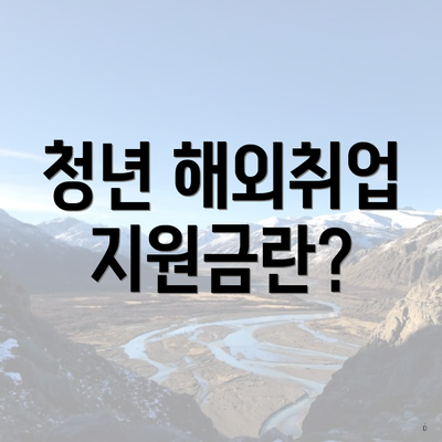 청년 해외취업 지원금란?