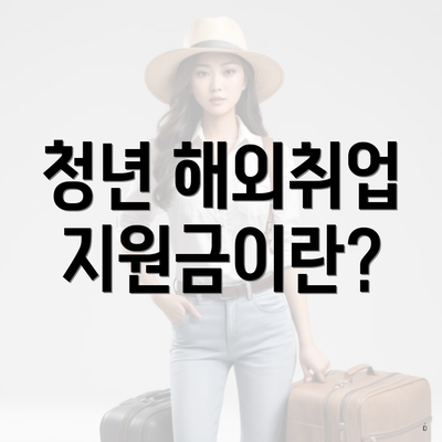 청년 해외취업 지원금이란?