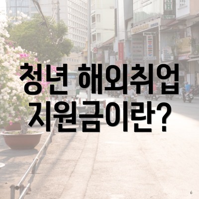 청년 해외취업 지원금이란?