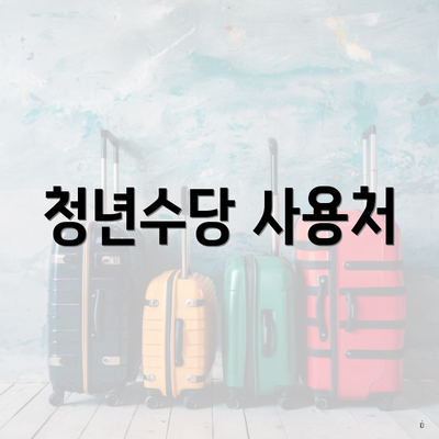 청년수당 사용처