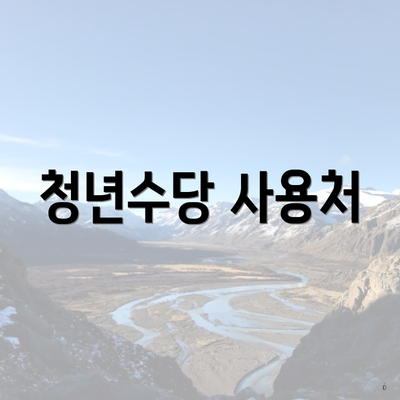 청년수당 사용처