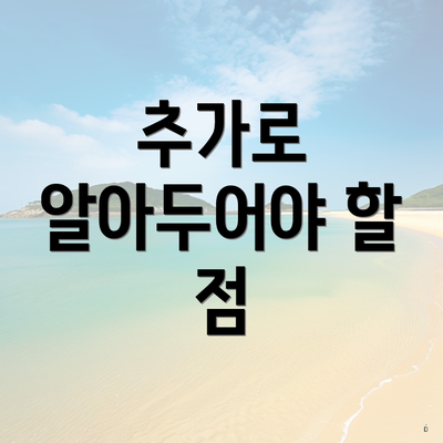 추가로 알아두어야 할 점