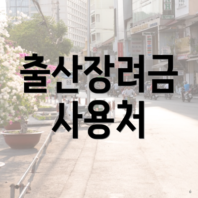 출산장려금 사용처
