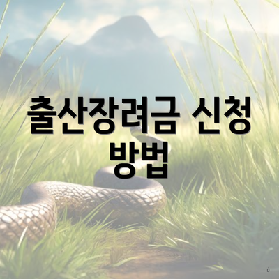 출산장려금 신청 방법