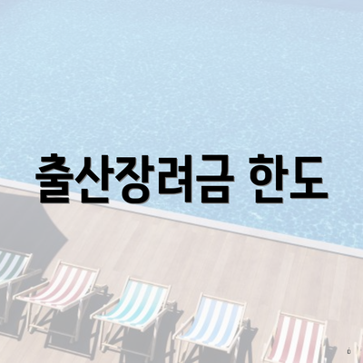 출산장려금 한도