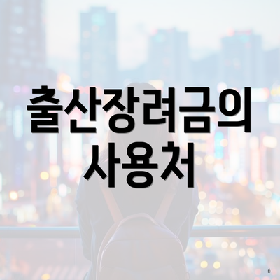 출산장려금의 사용처