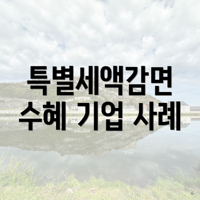 특별세액감면 수혜 기업 사례