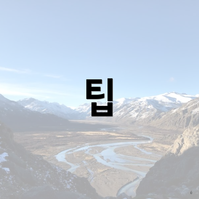 팁
