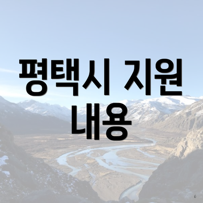 평택시 지원 내용