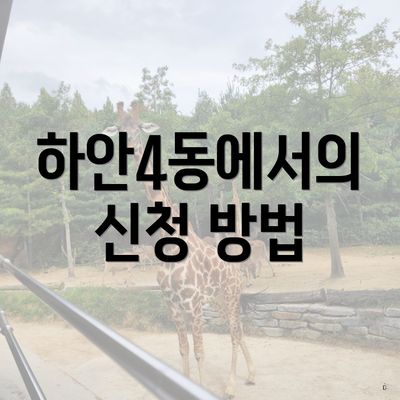 하안4동에서의 신청 방법