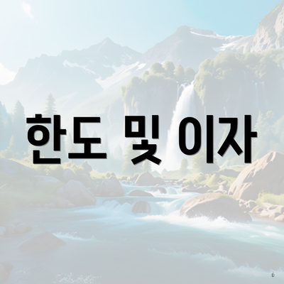 한도 및 이자