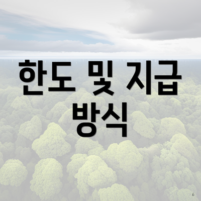 한도 및 지급 방식