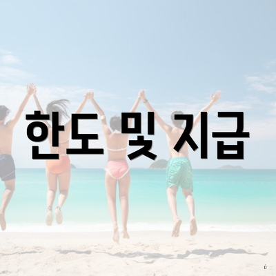 한도 및 지급
