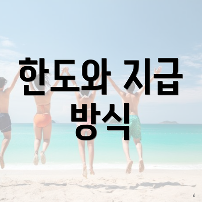 한도와 지급 방식