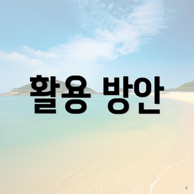 활용 방안