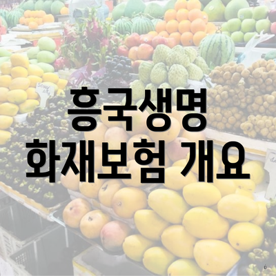 흥국생명 화재보험 개요